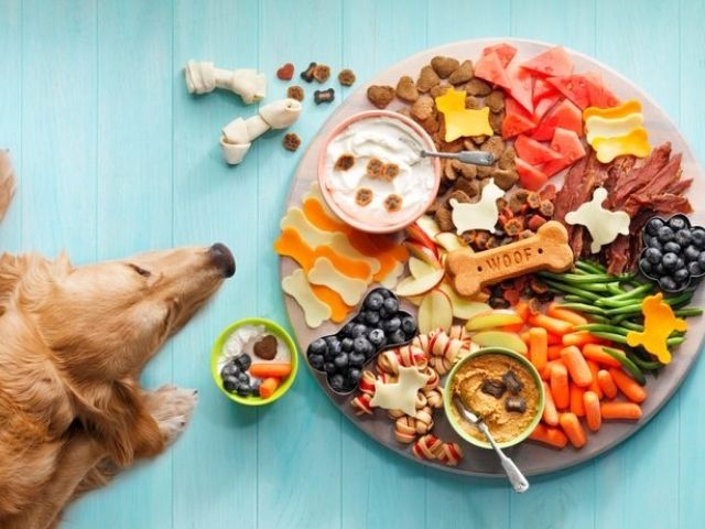 Trends in Dog Treats: A Tantalizing World of Canine Delights