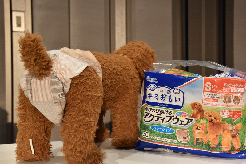 Developing Trends In The Pet Products Market In Japan.