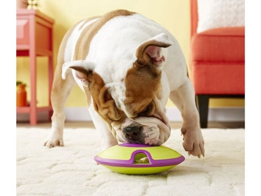Innovations in Dog Treats & Chews