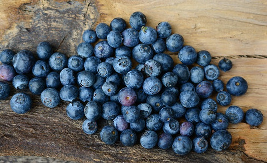 Top 10 Super Foods for Healthy Dogs