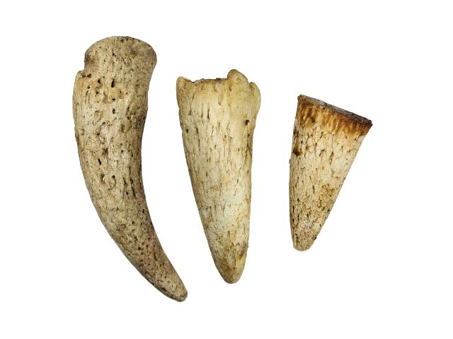 Cow Horn Marrow Chew Treat For Dogs