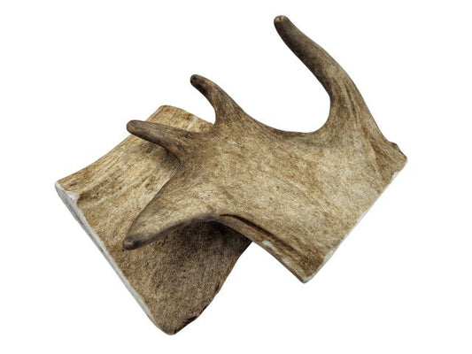 Fallow Deer Antler Medium Soft Chew For Dogs Puppies