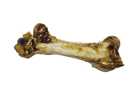 Ostrich Dino Bone Chew For Dogs