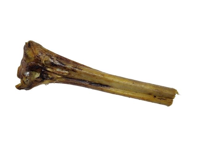 Ostrich Metatarsus Bone Chew For Dogs