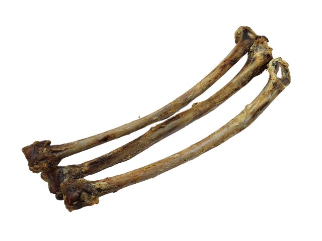 Ostrich Wing Bone Chew for Dogs
