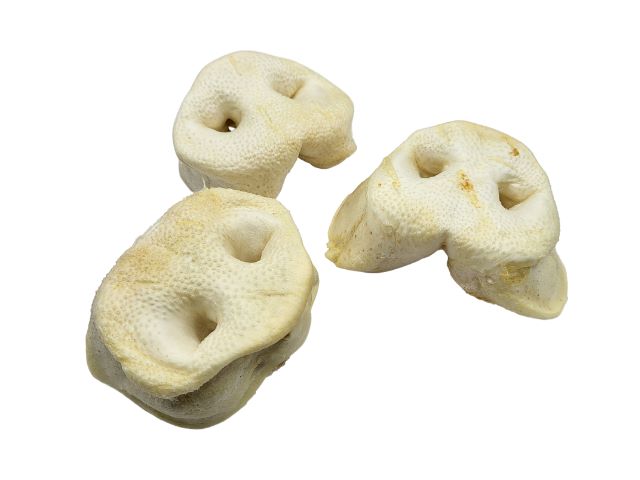Puffed Pig Snout Treats Chews For Dogs